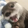 nguoiflopnhatlichsuvn