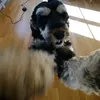 axel_cain123
