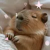 moodymikan