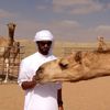 s_7babi