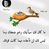 ahmed.alkhaled54