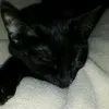 emmy1.7