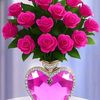 moaidabbas7