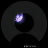 lat__8.0