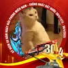 vietanh_889