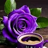 www.facebook.combalance
