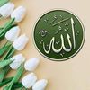 shahbaz.ahmad3504