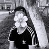 nastacoll_18