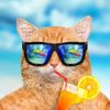 joeendejuice