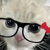 ampato_22
