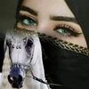 eman.eman4034