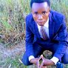 user9007009144381