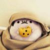 ilyc0rall