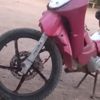 robertovargas7915