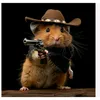 randomhamster817