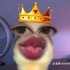 niankelly17