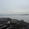 yradayo