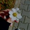 insaaf__az