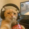 thomas_leite0