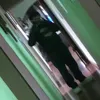 baumix6