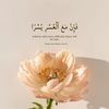 mrayam604