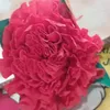 silvinya06w