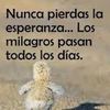 oscar.hernandez5825