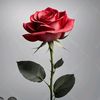yaneth_bdn91