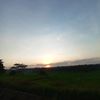 dyvina85