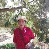 hoa.thi661