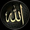 hani.arain7
