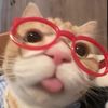 user26752536