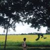 shinthantaung689
