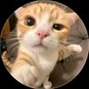 nanon.krittanon