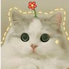 inaazzahrah13_
