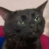 tiktokisabitxh1