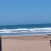 nadiatyar