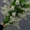 kristi_13_567
