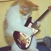 vikayjcwz5c