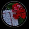 user3813318693416