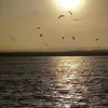rosaruiz28
