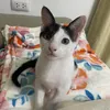 paktun13