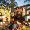 tanuki_sora