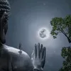 anh.trn0371