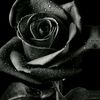 user141756612