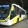 davi.ferreira876