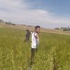 boja.teshome