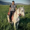 atef_131