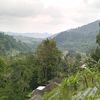 topikindonesia