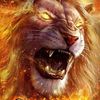tayyab.shafiq34